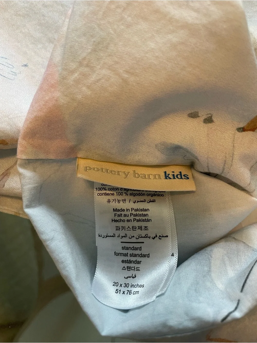 Pottery Barn Kids Celeste Fairy Pillowcase